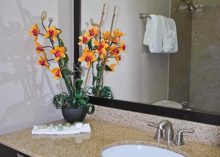Wyndham Garden Hotel 4*