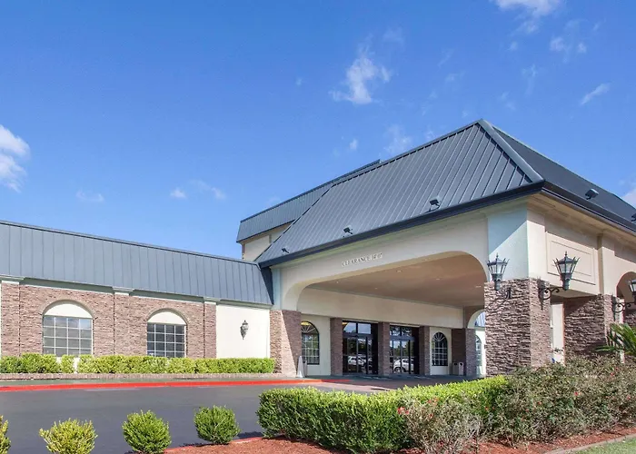 Hotel Wyndham Garden 4*